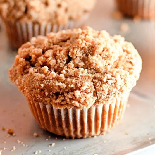 Apple Cinnamon Muffins Recipe