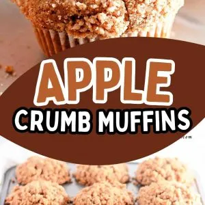 Apple Crumb Muffins – A Sweet Dessert You’ll Love