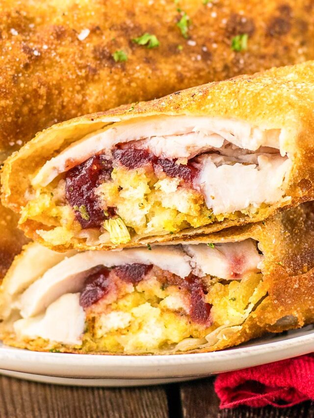 Best Thanksgiving Turkey Egg Rolls