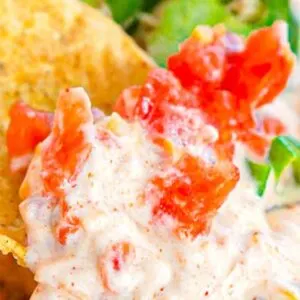 Make the taco boat dip recipe that's taking TikTok by storm, and become the hero of your next party! This easy cold dip is ready in just 10 minutes, and we've got all the tips you need to make it perfect every time.