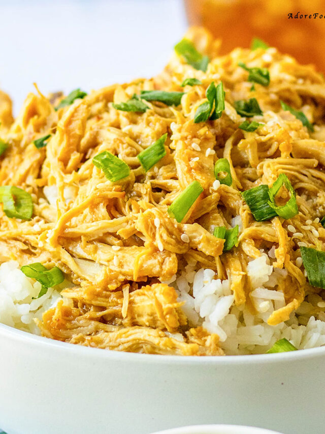 Honey Teriyaki Chicken Crock Pot