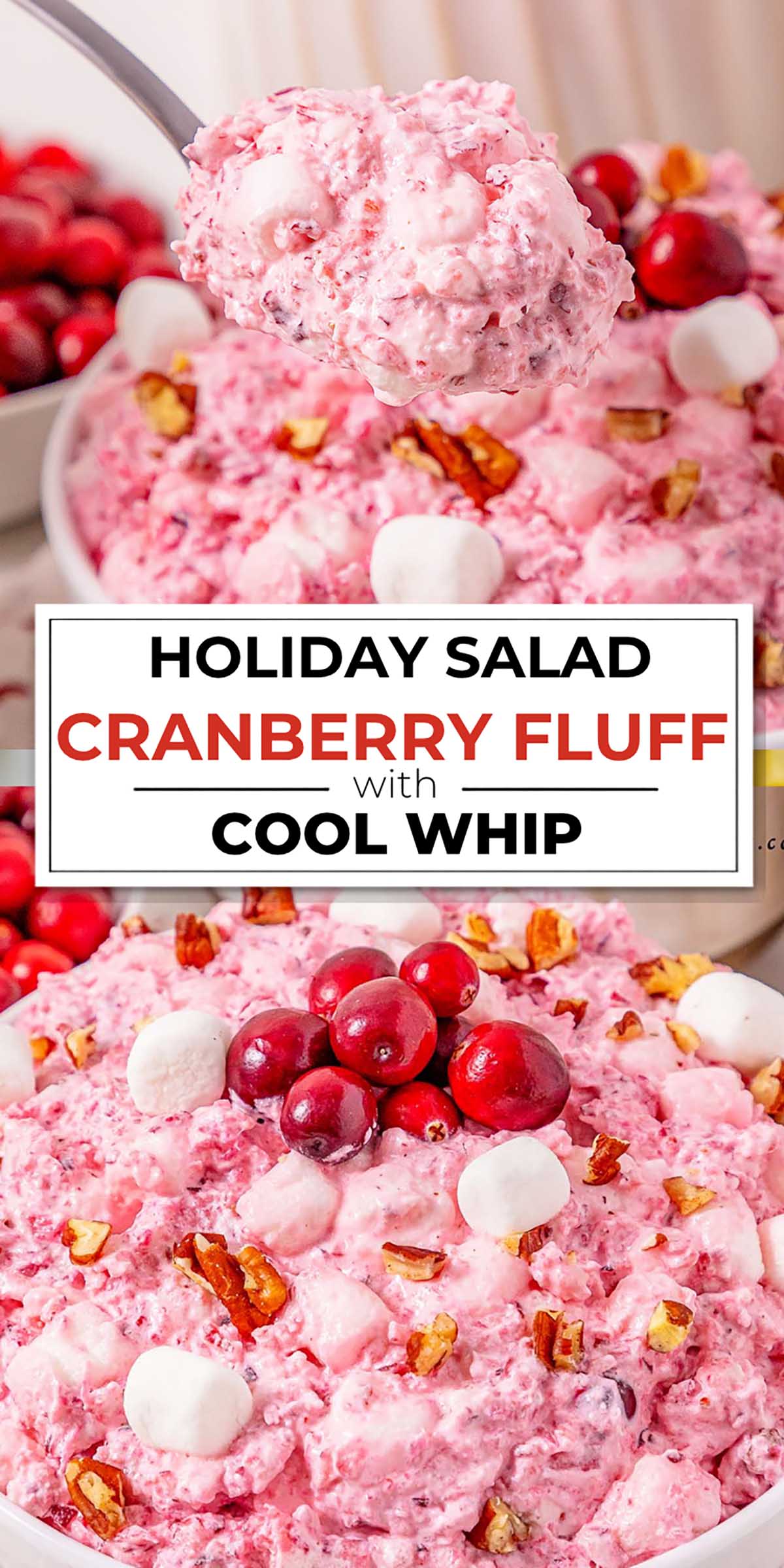 Cranberry Fluff With Fresh Cranberries Everyone Will Love